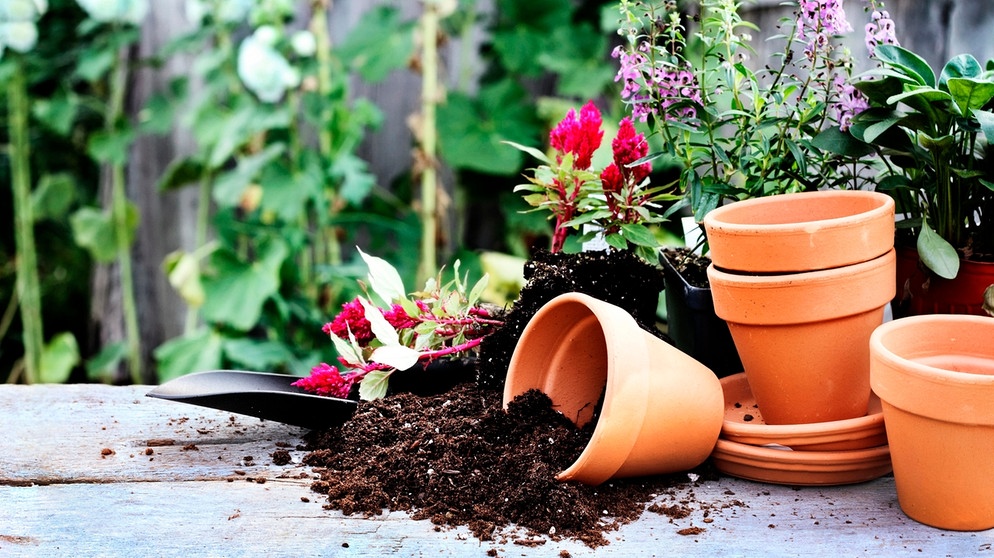 Gazebo Parts Direct Sales Store 9 Gazebo Parts Direct Sales Store -AU Garden Supplies Sales 2024 1234