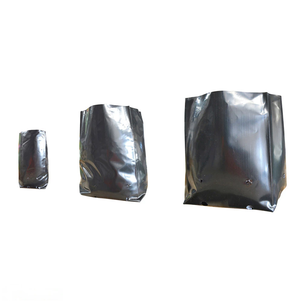 Polythene Plant Bag 600mmØ 3 Polythene Plant Bag 600mmØ
