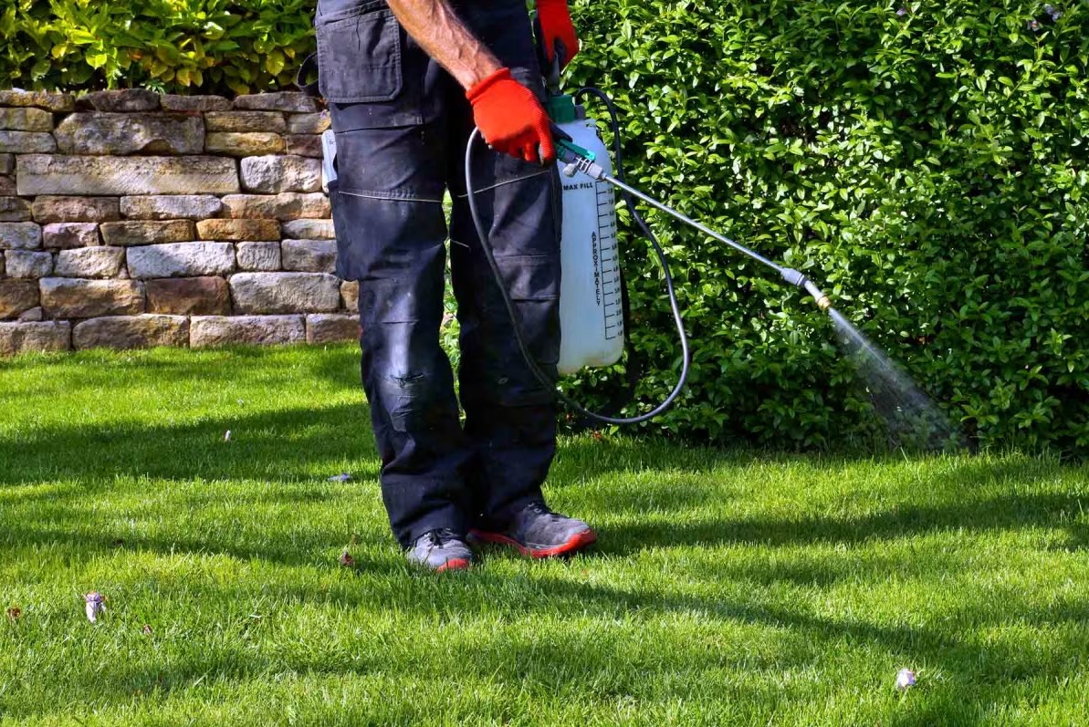 Gazebo Parts Direct Sales Store 49 Gazebo Parts Direct Sales Store -AU Garden Supplies Sales 2024 Dingtalk 20240529105151