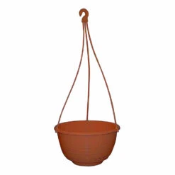 Grecian Hanging Basket Complete 13 Grecian Hanging Basket Complete -AU Garden Supplies Sales 2024 Grecian Hanging Basket Complete 250mm Rustic 11913.1649645107