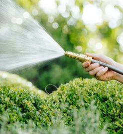 12mm Jumbo Click-On Adjustable Brass Nozzle -AU Garden Supplies Sales 2024 Neta 12mm Jumbo Click On Adjustable Brass Nozzle 2 11134.1707288249