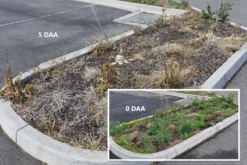 Weed Terminator & Soil Conditioner -AU Garden Supplies Sales 2024 Open Spaces Before After 1 23656.1658712994