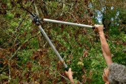 Bahco P173-SL-85 Professional 45mm Anvil Loppers With Lever Action And Aluminium Handle -AU Garden Supplies Sales 2024 bahco p173 sl loppers 4 81463.1707202738