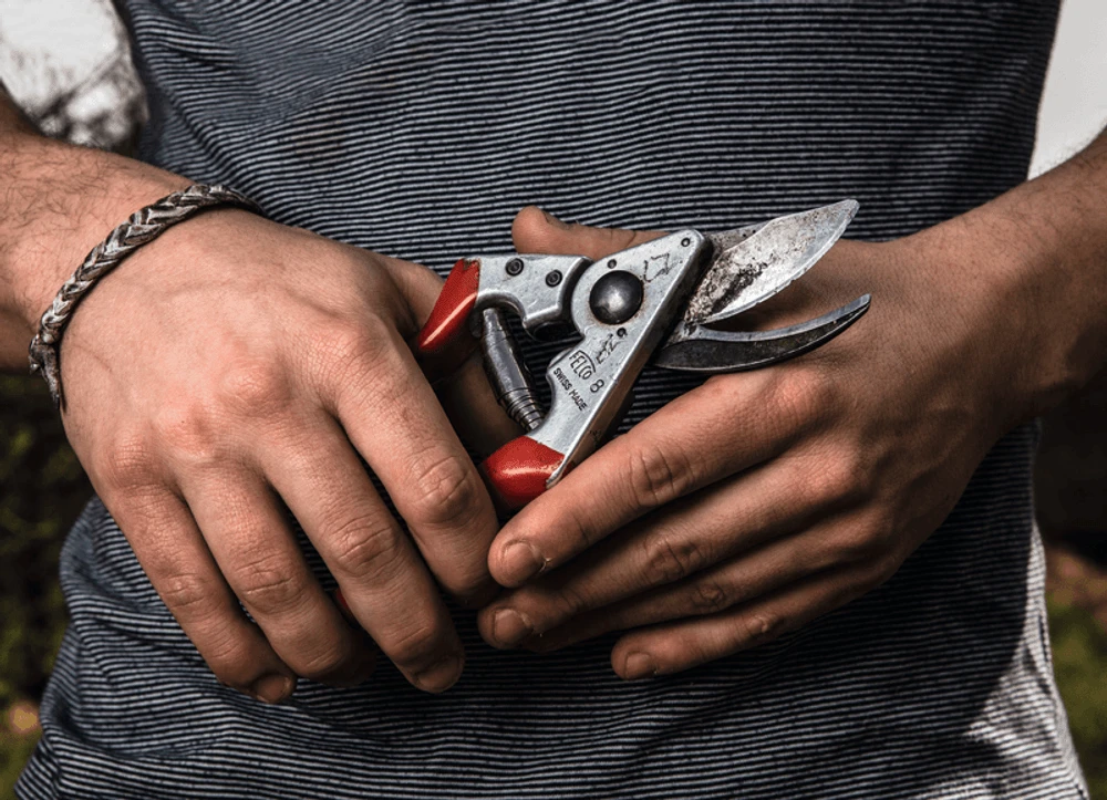 Felco 8 Secateurs 4 Felco 8 Secateurs - Image 2