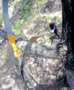 Silky Hayate Pole Saw Complete - Extendable -AU Garden Supplies Sales 2024 silky hayate 3 56178.1684377373